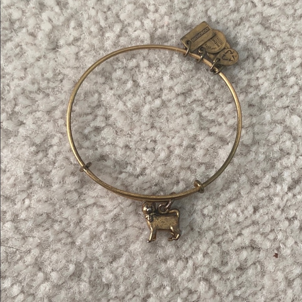 cat alex and ani bracelet